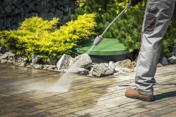 Best Roof Cleaning and Mildew Removal in Summerside, OH